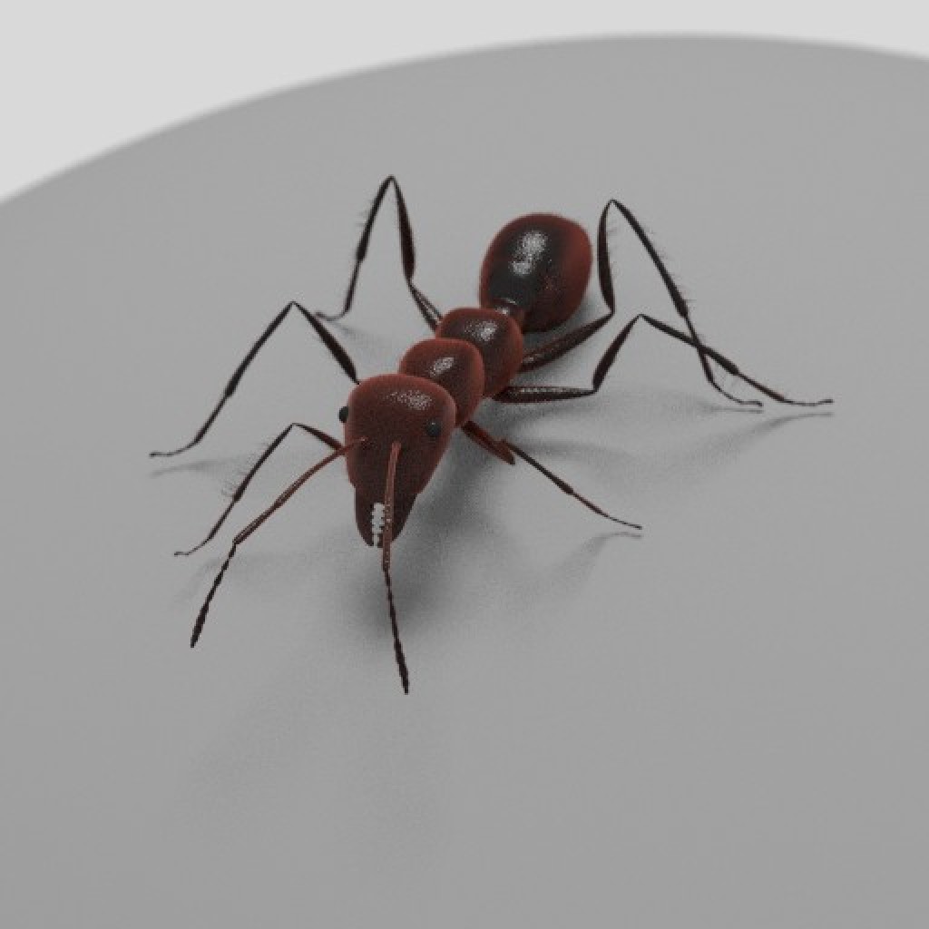Ant - rigged, animated preview image 1